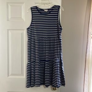 J Crew Navy and White Dress